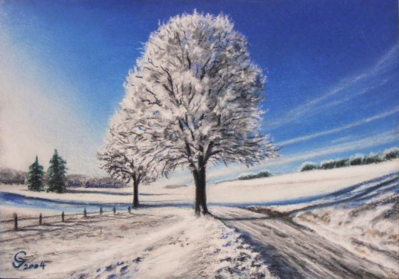 "Path in the snow"