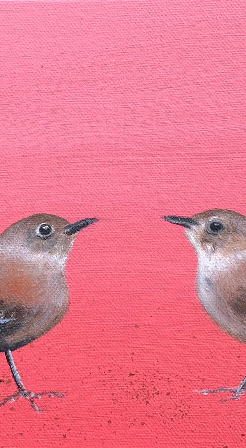 Two Little Wrens ~ on Rose by Laure Bury