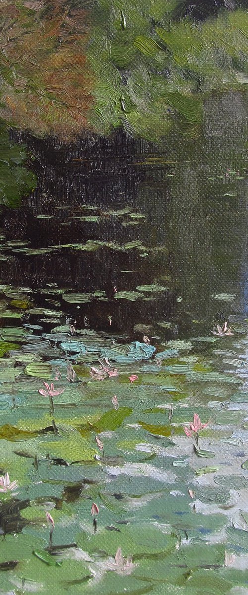 Lotus blooming in a lake by Bhargavkumar Kulkarni