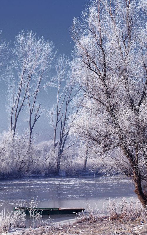 Yanuary blues by Sonja  Čvorović