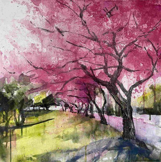 Pathways 7