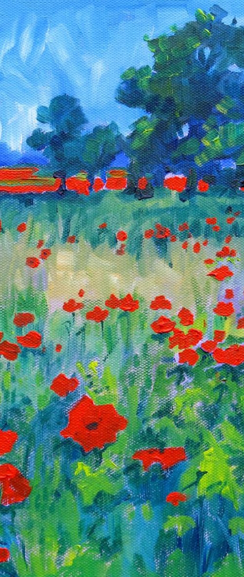 Poppy Meadow by Mary Kemp