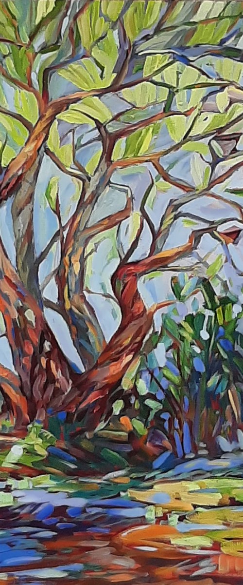 Old Oak Tree by Tamara Vieira