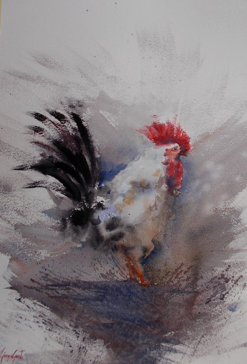 rooster 15 by Giorgio Gosti