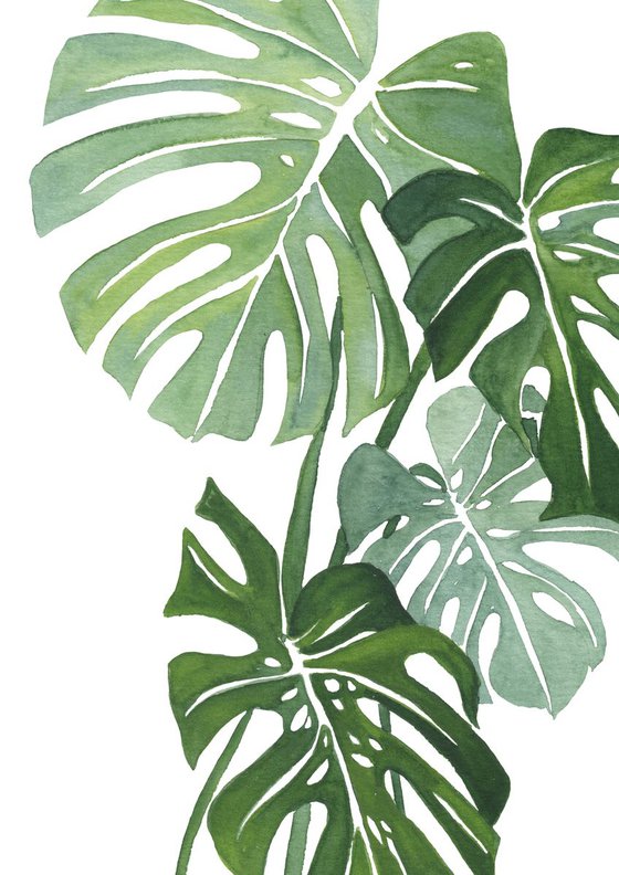 Monstera Leaf 4