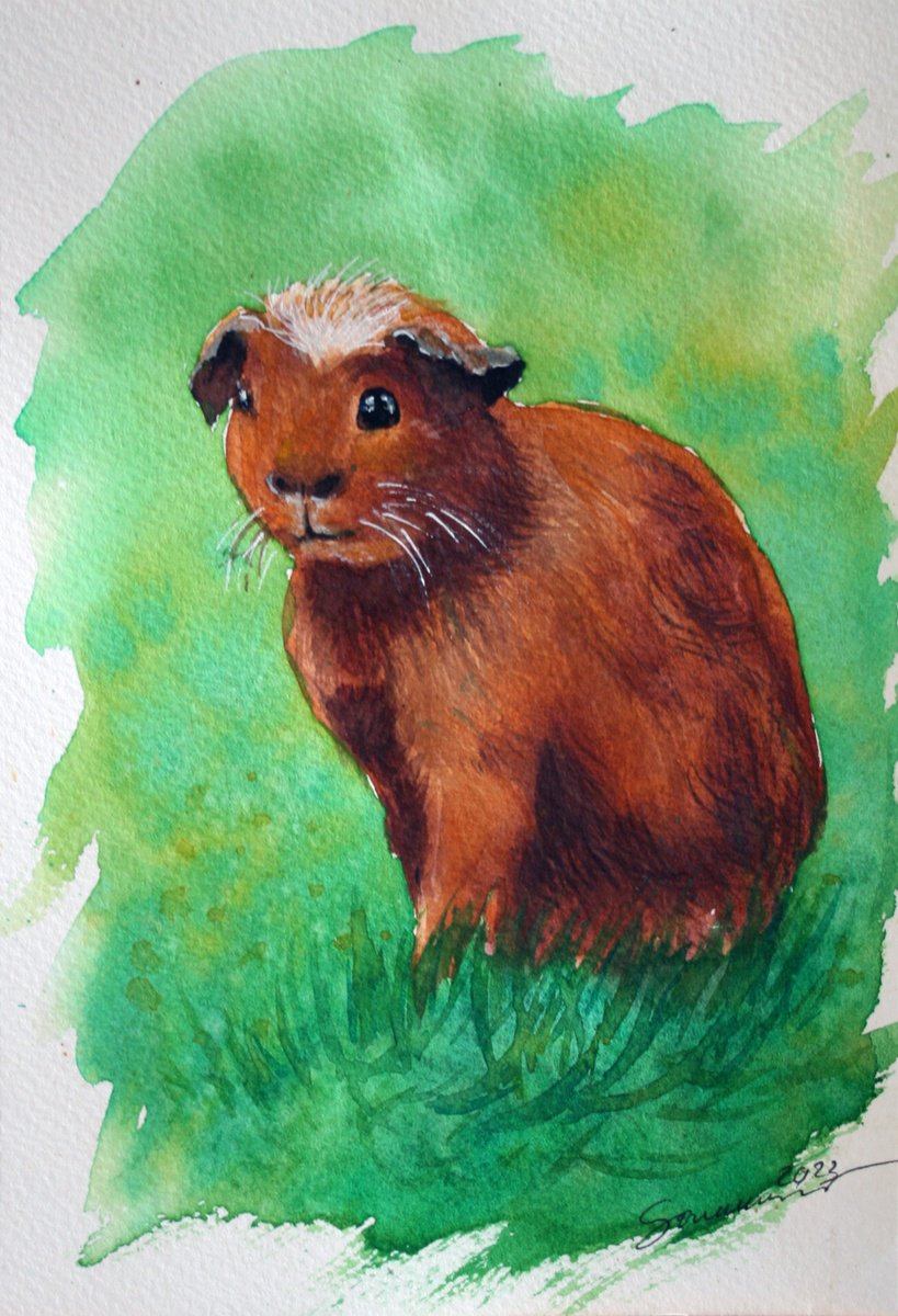 Guinea Pig I,  5.5 x 8’’ / FROM THE ANIMAL PORTRAITS SERIES / ORIGINAL PAINTING by Salana Art Gallery