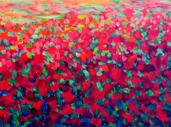 Field with red Poppies