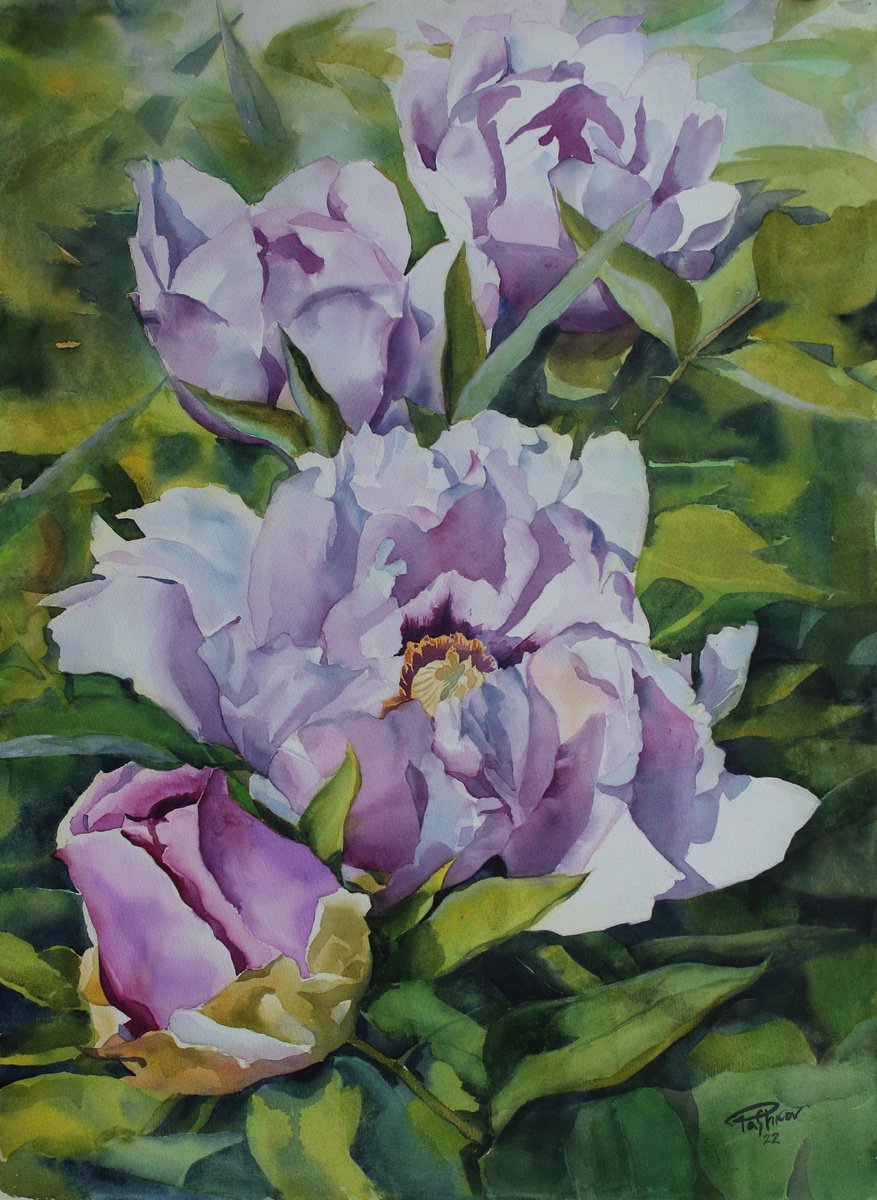 Impressionistic Botanical Watercolour By Yurii Pashkov, 22 X 30", Pink Peonies#5, Original Artwork