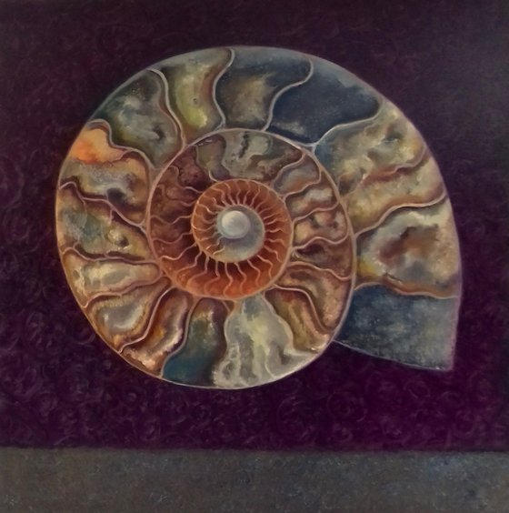 Ammonite Magenta