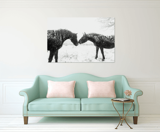 SNOW HORSES