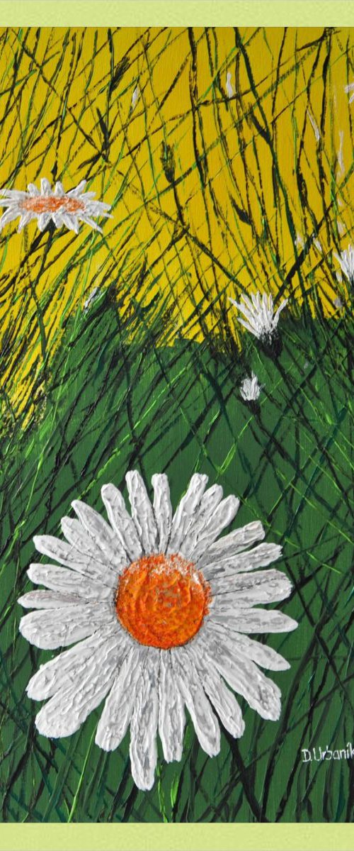 Leucanthemum And Grass by Daniel Urbaník