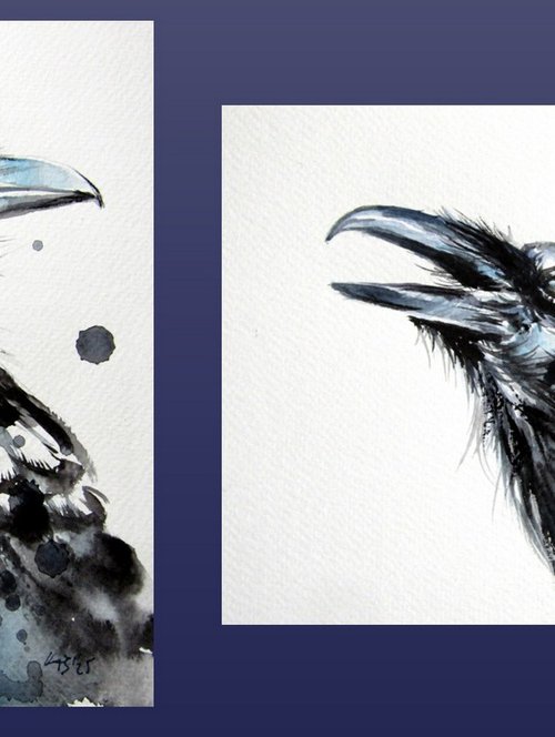 Crow collection by Kovács Anna Brigitta