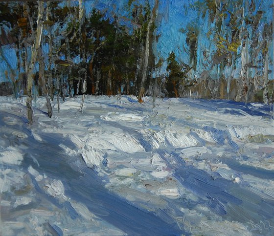 Edge of the forest