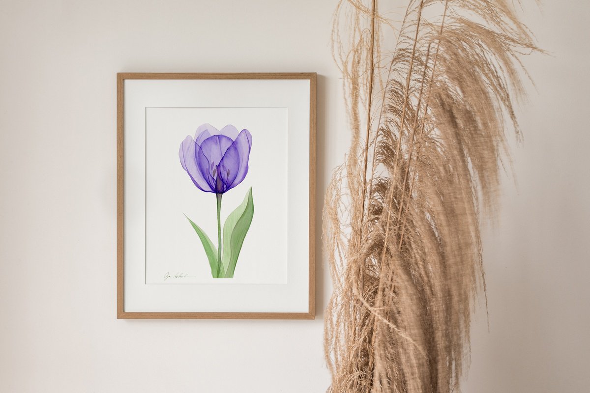 Impressionistic Watercolour , Xray Purple Tulip By Olga Koelsch, 8 X 12, Artwork For Sale On Artfinder