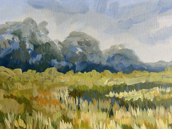 Summer Fields II