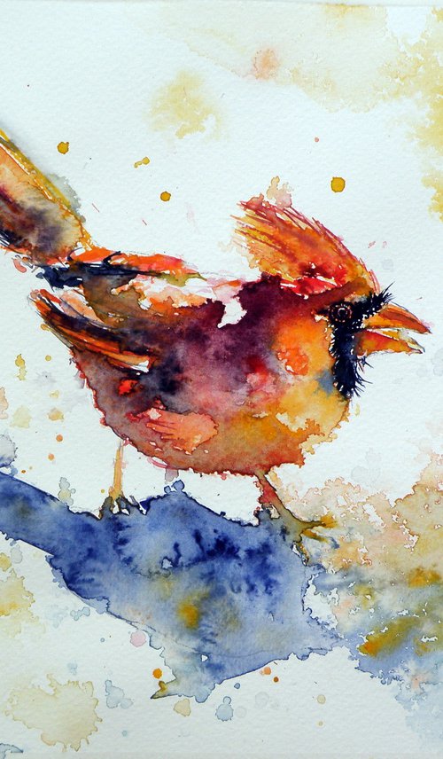 Cardinal bird by Kovács Anna Brigitta