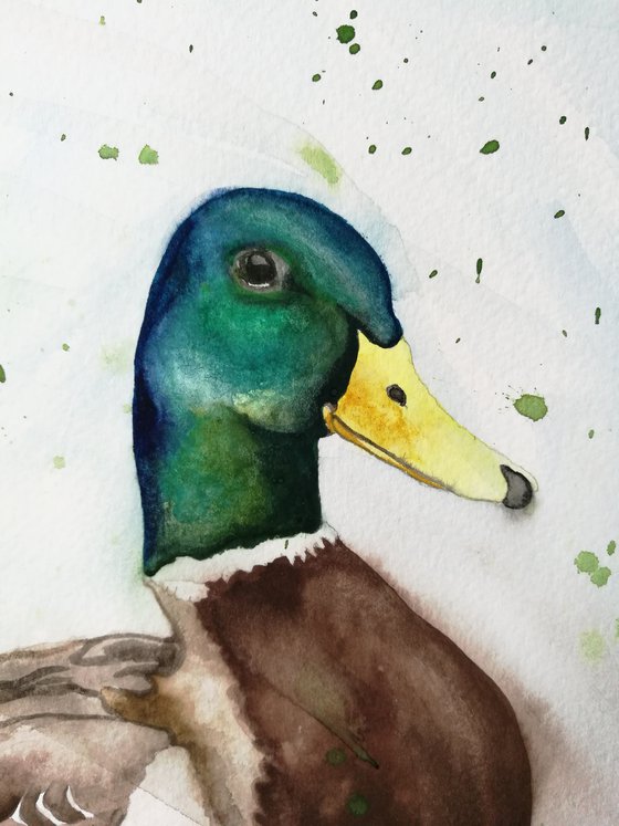 Watercolour Duck. Free Shipping