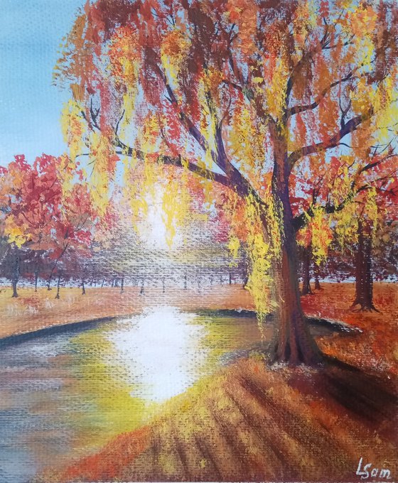 Autumn's Radiant Veil