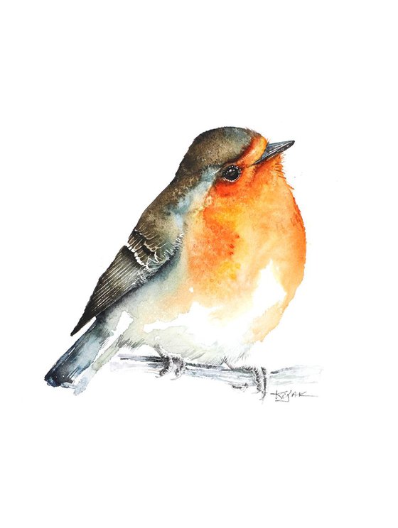 Robin 21x30cm, birds, wildlife and animals watercolours