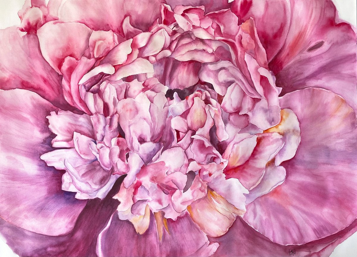 Abstract Botanical Watercolour By Anna Lyashenko, 29 X 21, Peony Heart, Original Artwork