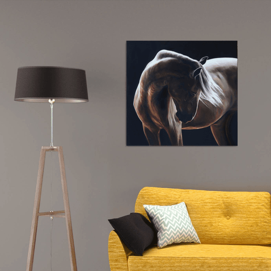 Equine light