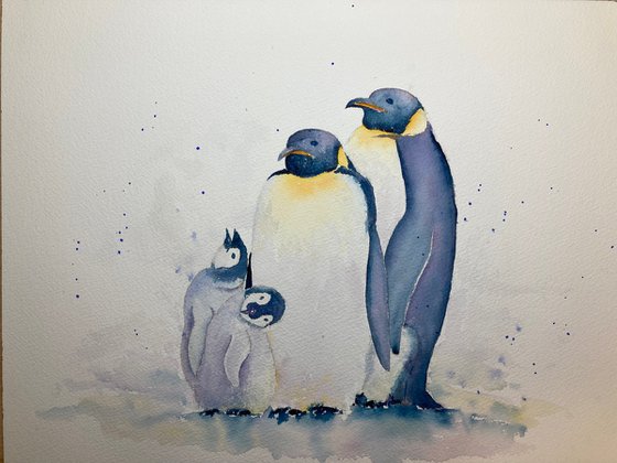 Pinguin family