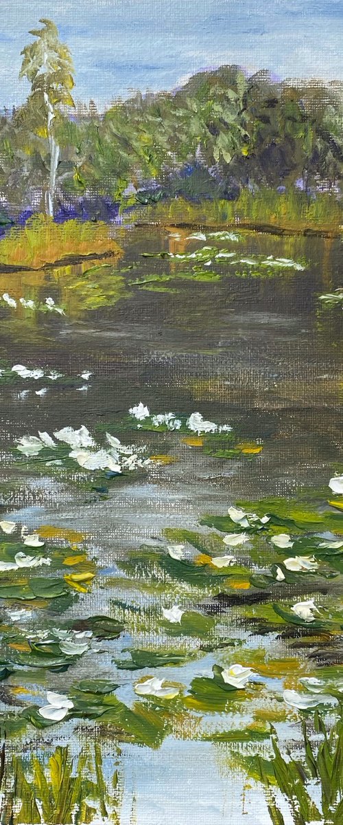 Waterlilies in park. Pleinair by Dmitry Fedorov