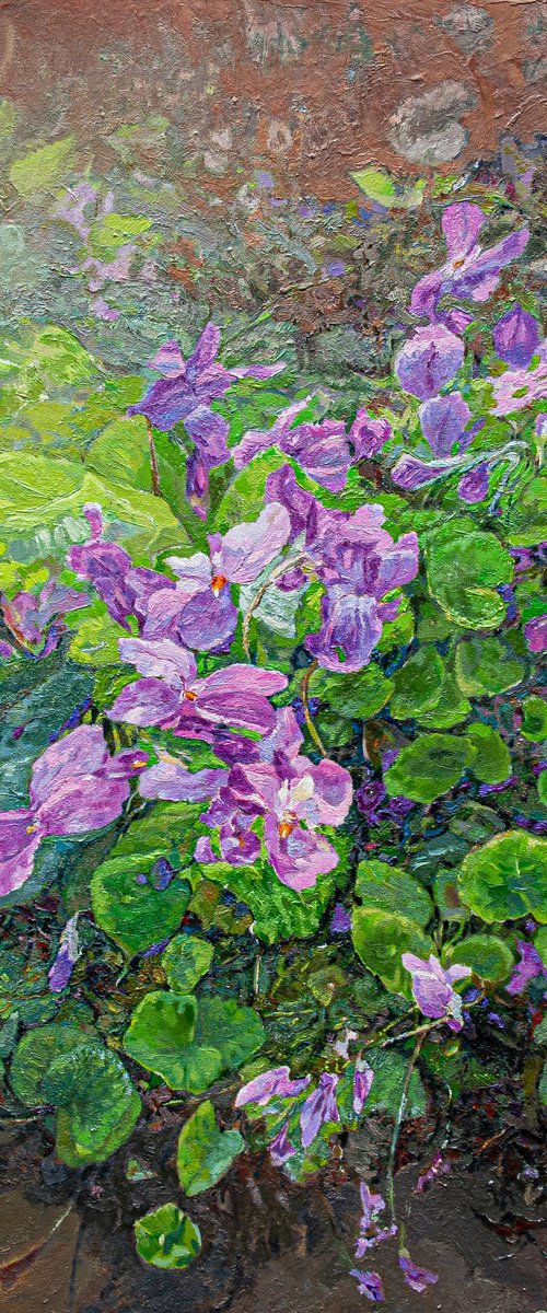 Violets... by Olga Didyk