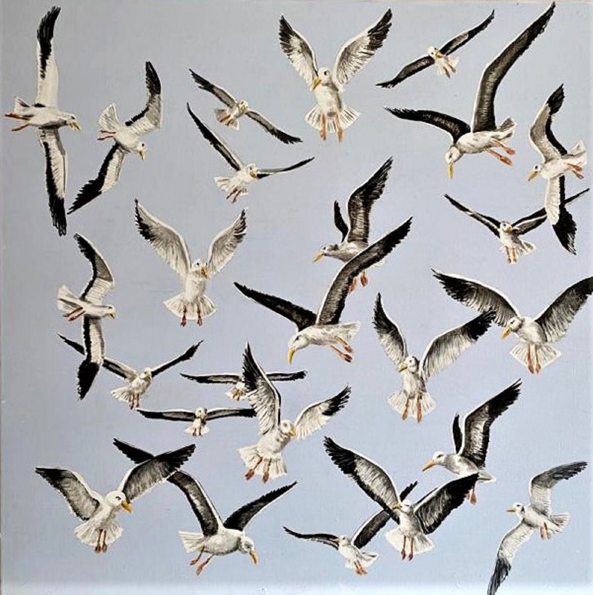 Gull Maelstrom by Laurence Wheeler