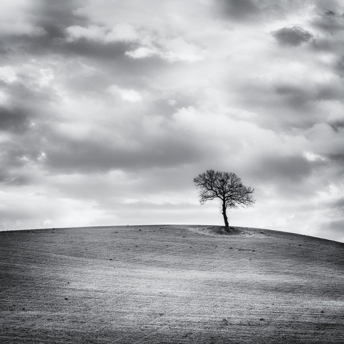 A lone tree on a hill top BW (10) by Karim Carella