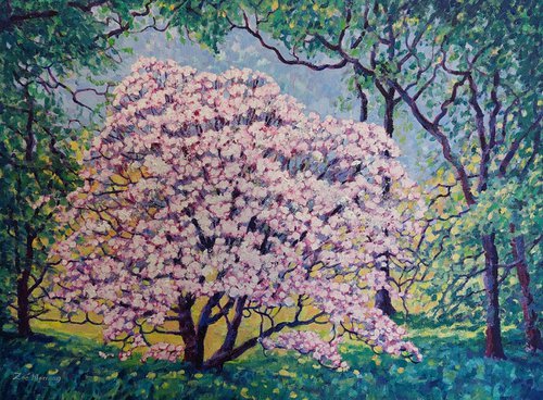 Hidden Blossom by Zoe Elizabeth Norman