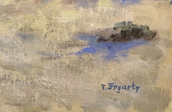 Lifeguard Station On American River