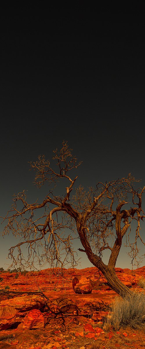 Watarrka Boollarre by Nick Psomiadis