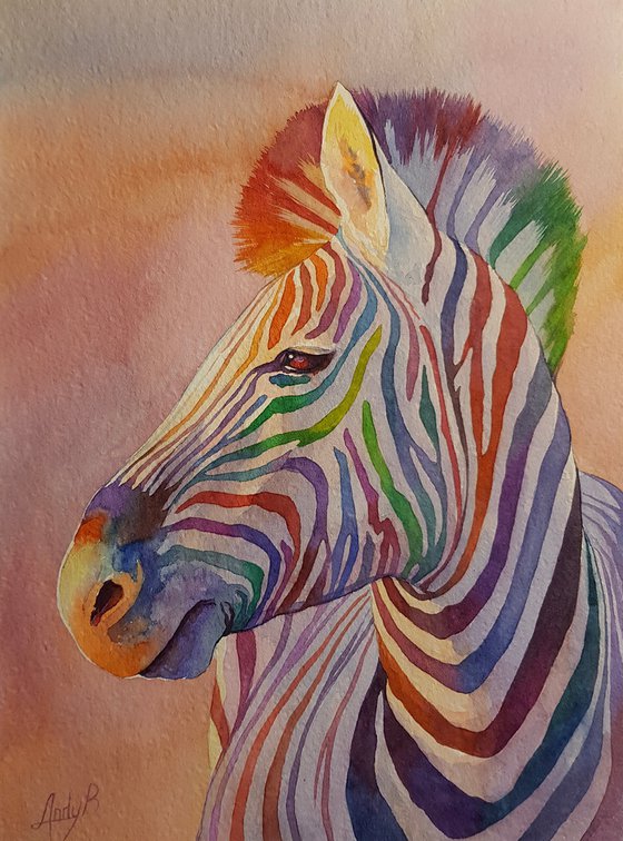 Sunset zebra