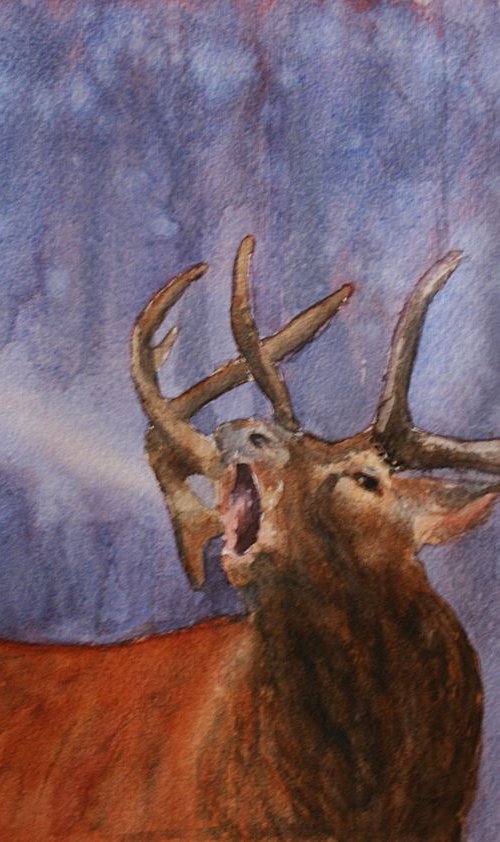 Deer / Original Painting / graceful animal / / color harmony of watercolor / a gift for you by Salana Art