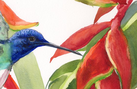 Hummingbird and Tropical Flowers