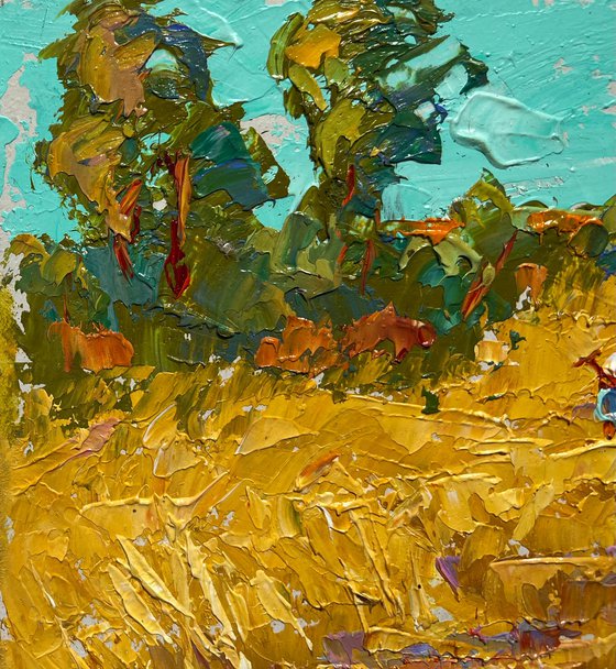 Sunny day in the field