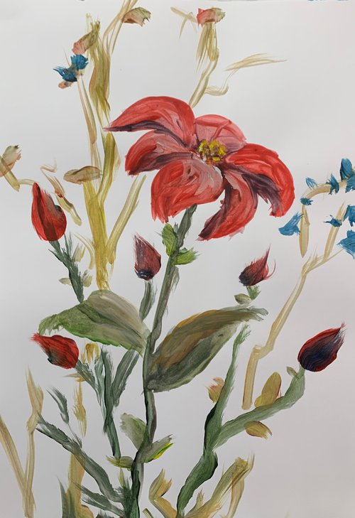 Flowers. by Vita Schagen
