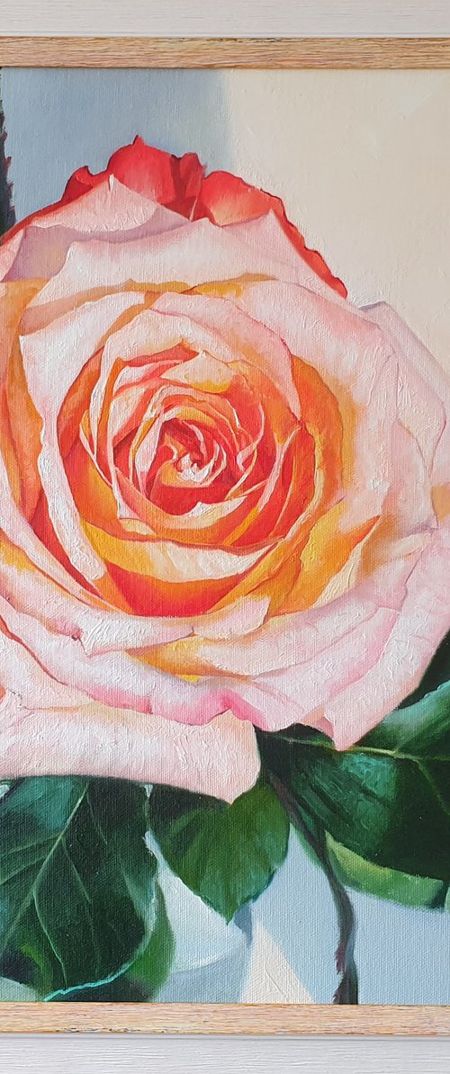 "Rose from a loved one. "  rose red flower  liGHt original painting  GIFT (2021) by Anna Bessonova (Kotelnik)