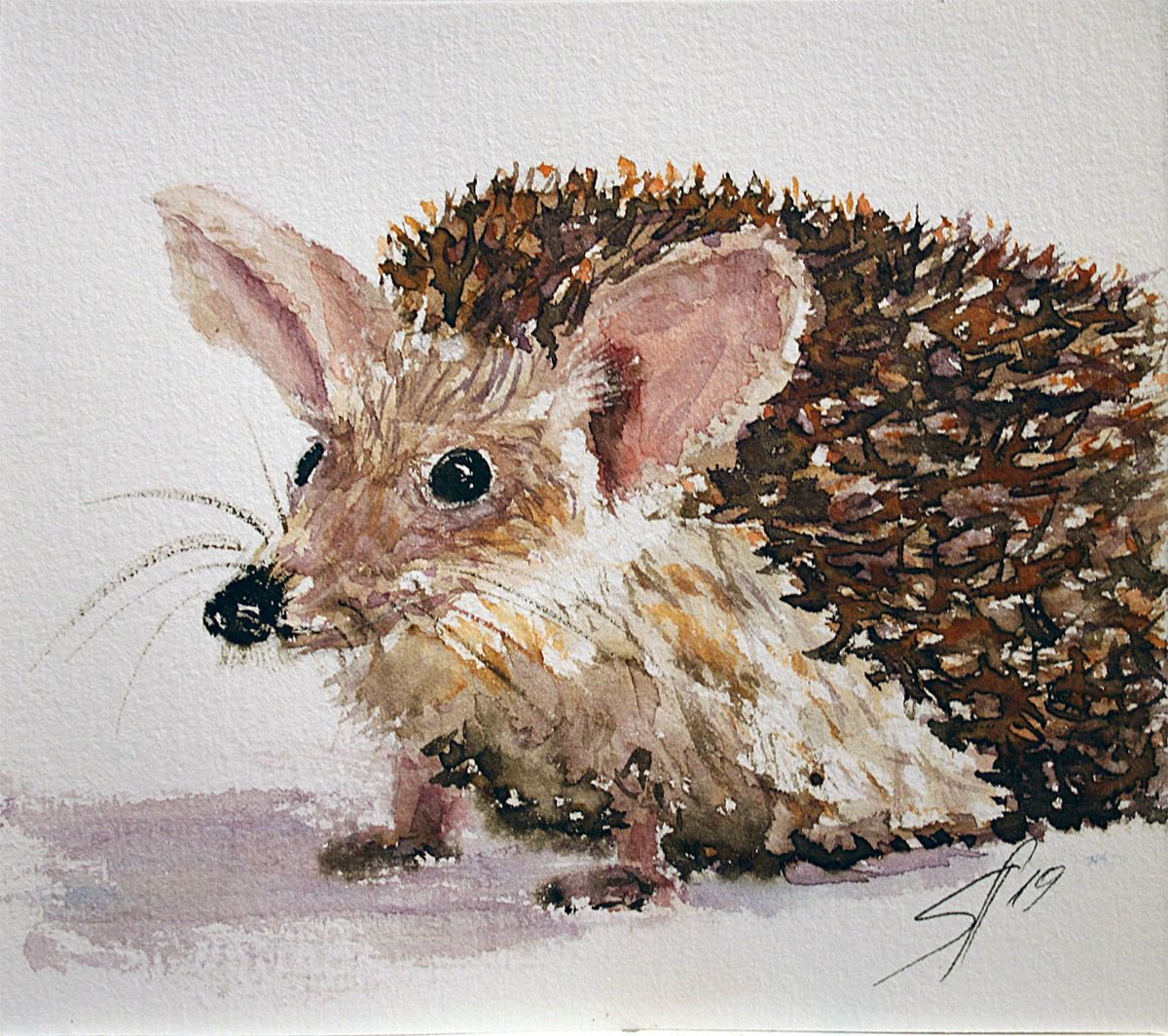 Hedgehog eared (Hemiechinus auritus) by Salana Art Gallery