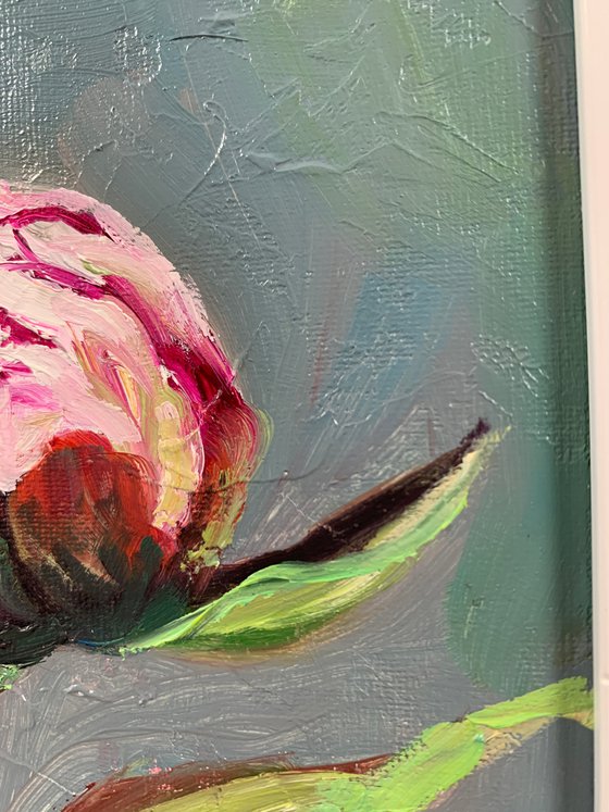 Peony. Flowers.