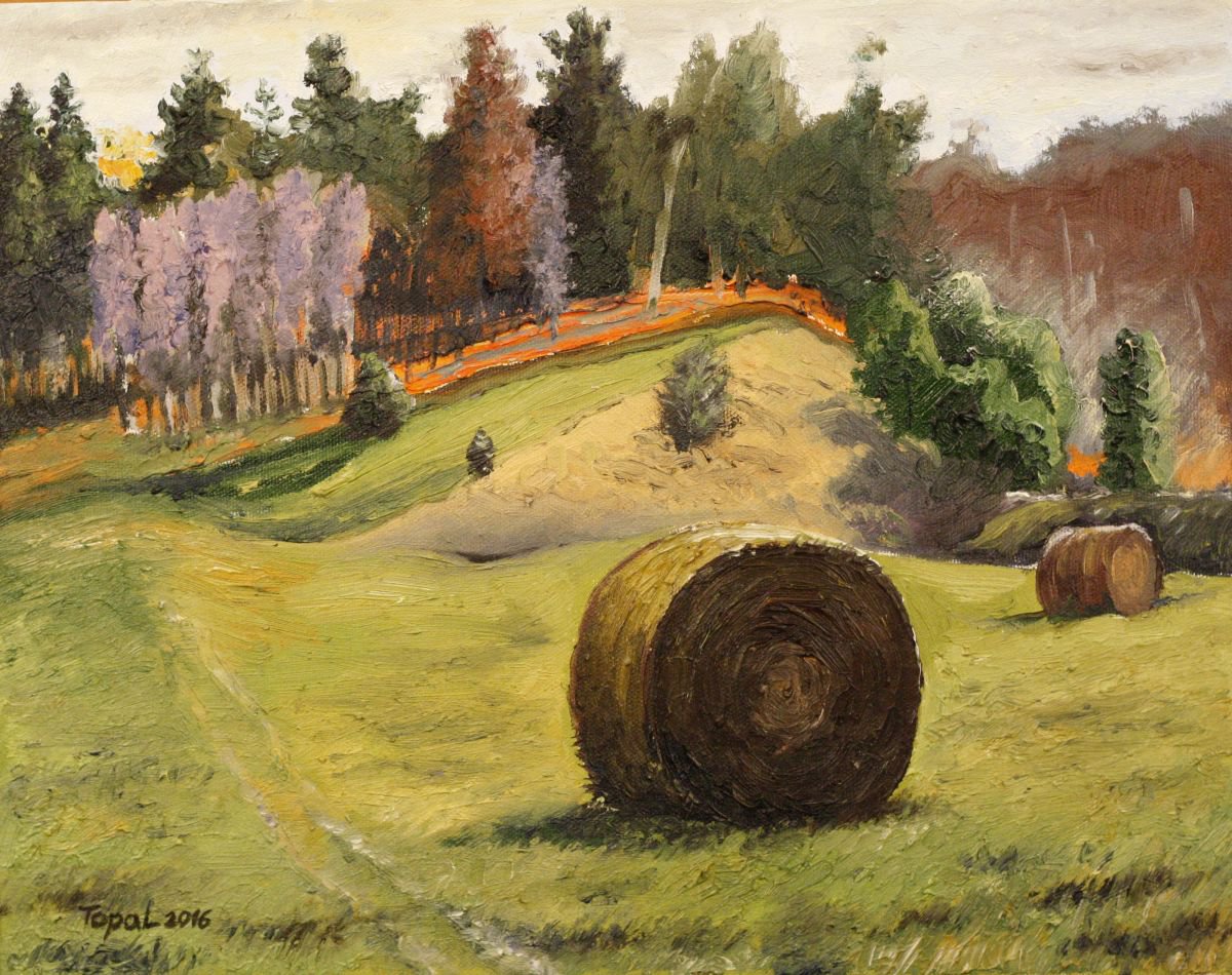 Autumn Hay by Vladimir Topal