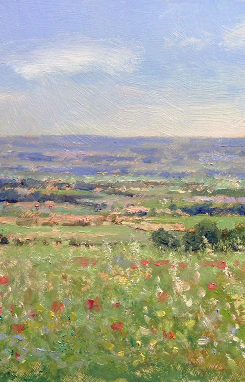 Fields near Sisteron by Pascal Giroud