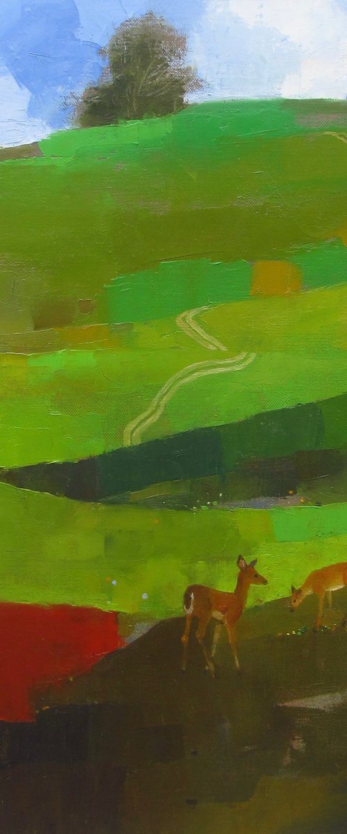 Green carpet by Bhargavkumar Kulkarni