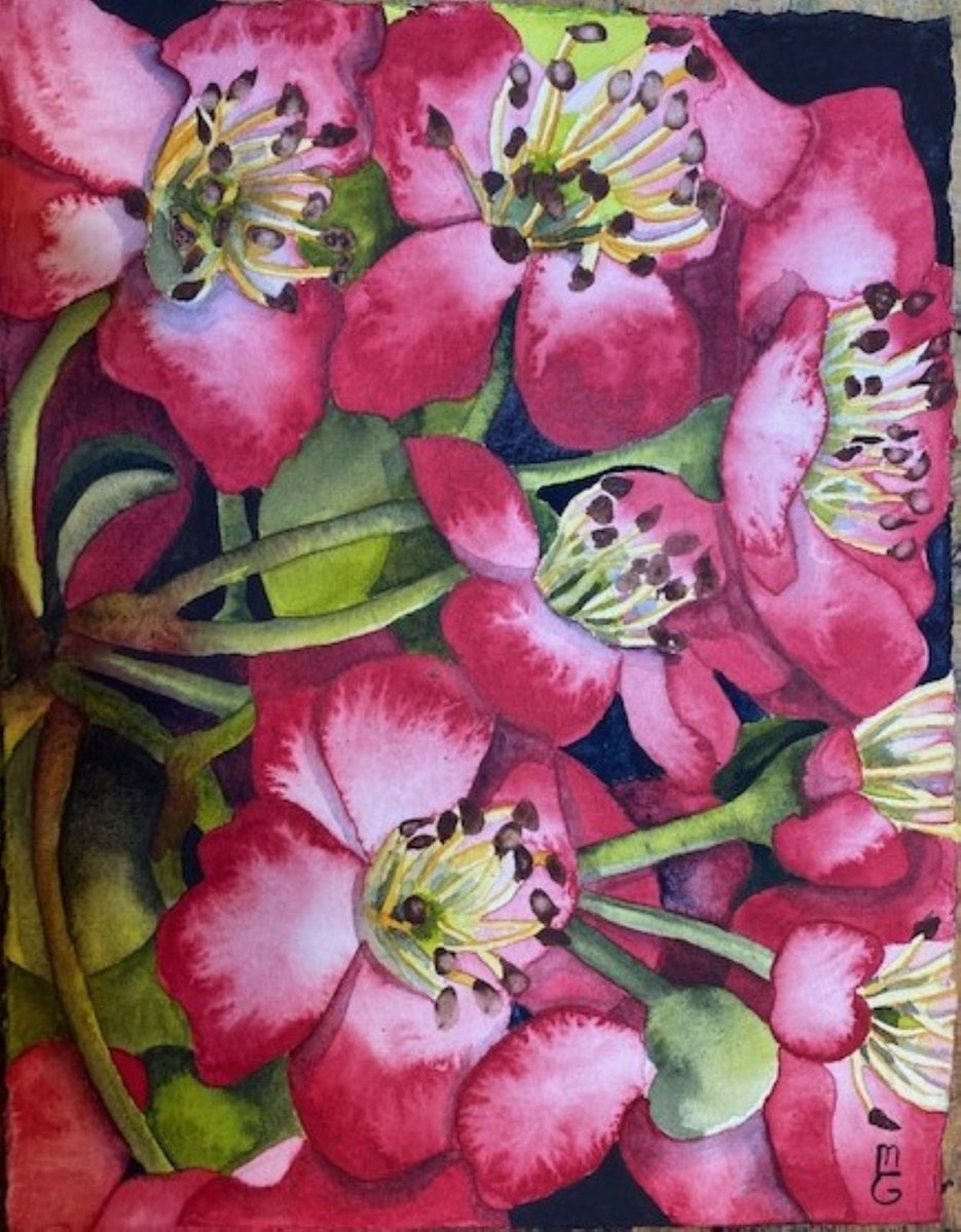 Surrealistic Botanical Watercolour By Mary Lyn Gough, 15 X 11", Ushers Of Spring, Original Artwork