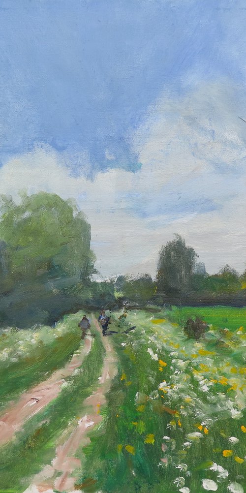 Path through Cow Parsley by Malcolm Ludvigsen