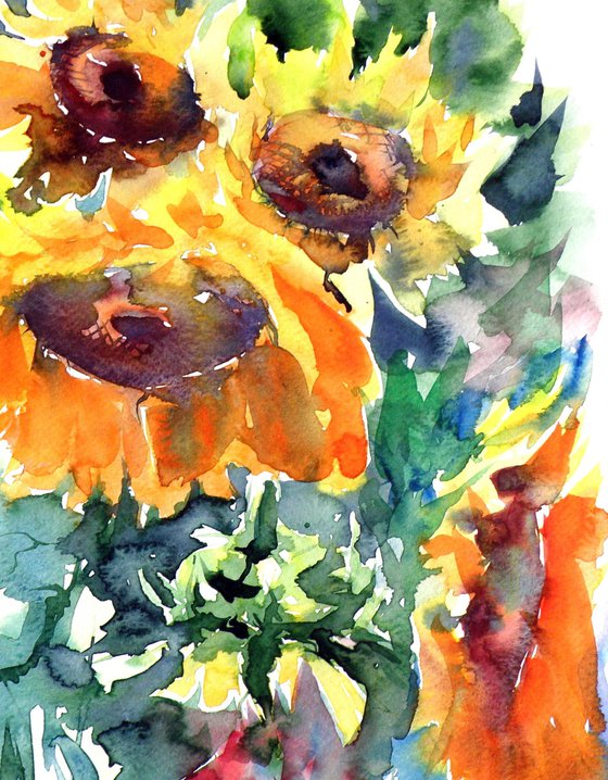Sunflowers