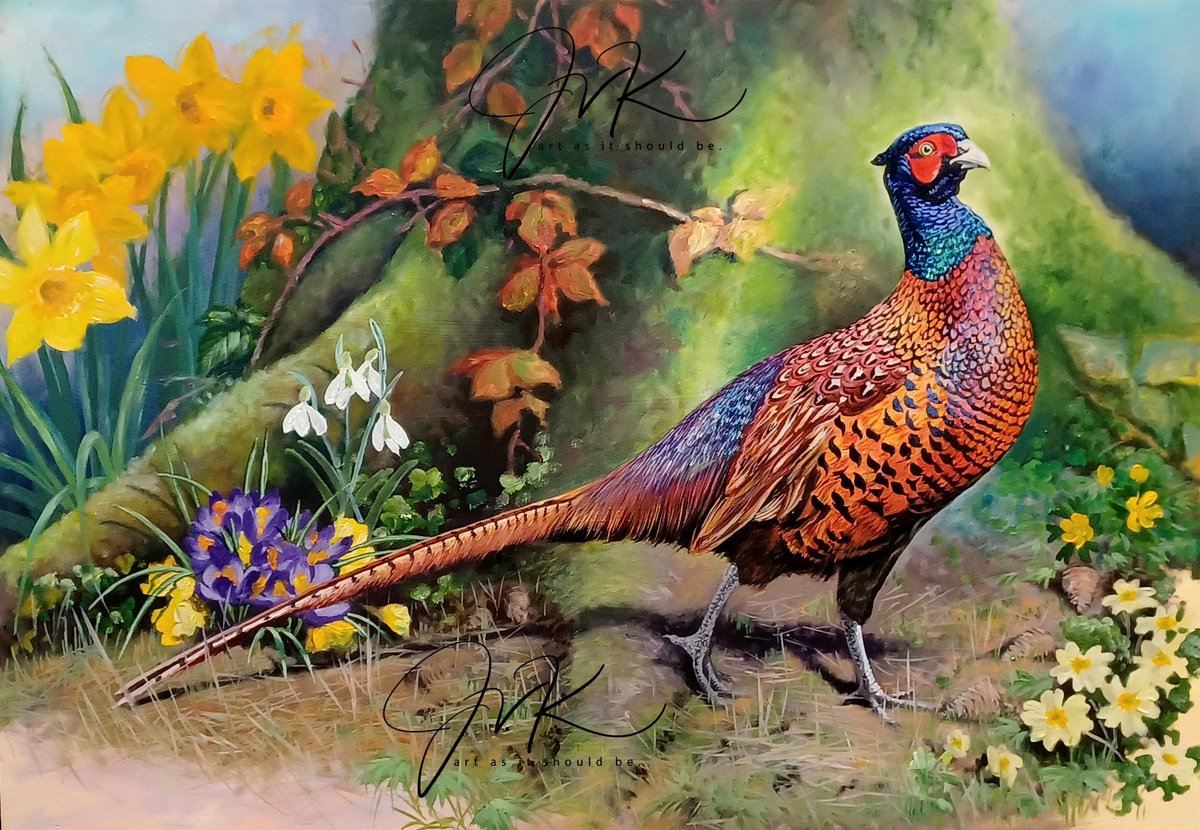 Photorealistic Oil Painting , In All His Glory.. By Jo Van Kampen, 24 X 18, Artwork For Sale On Artfinder