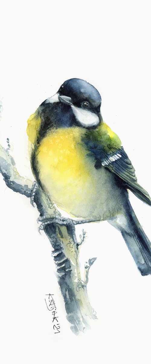 Great tit by Karolina Kijak