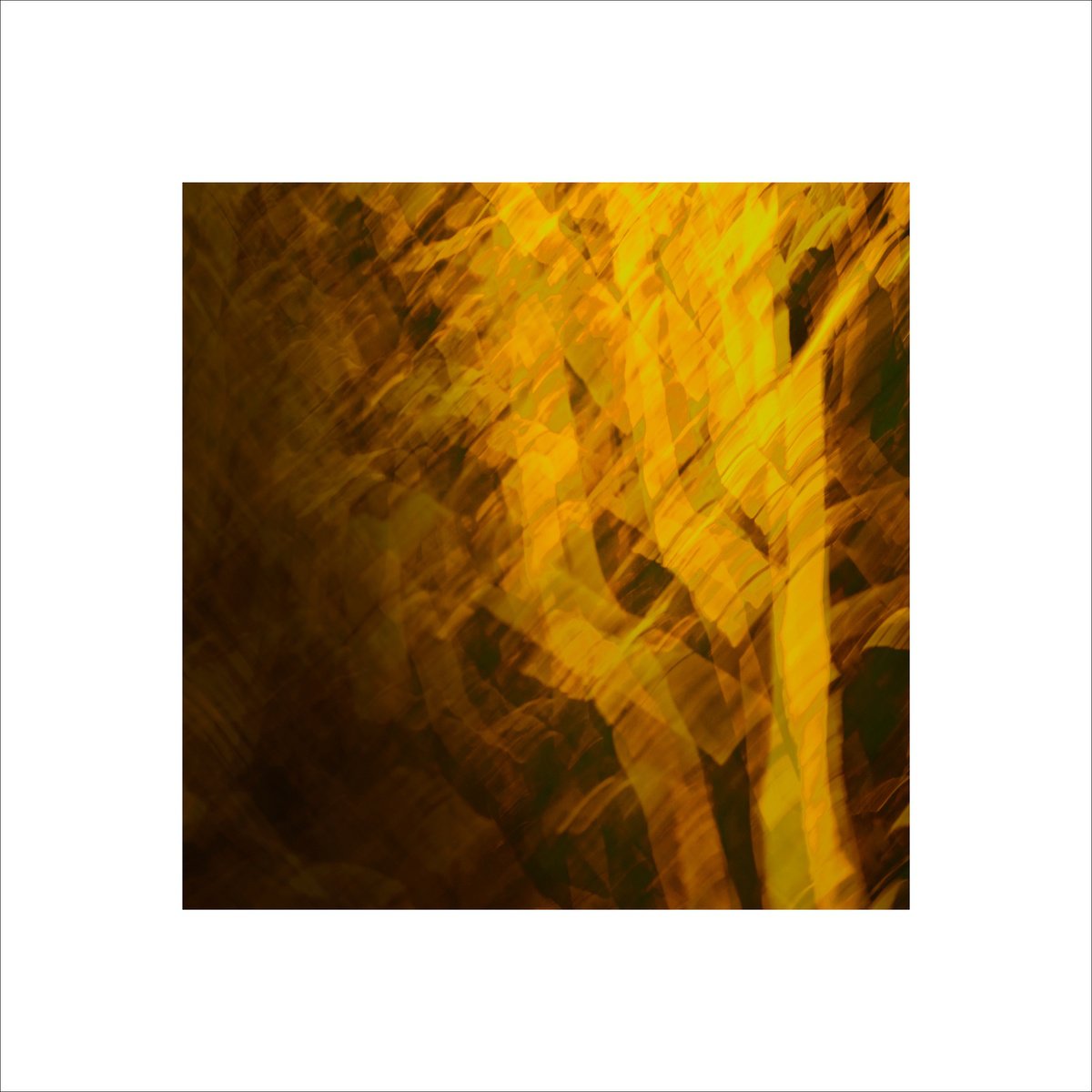 Abstract C-Type Print By Paul Harrison, 24 X 24", Forced Light 16, Original Artwork